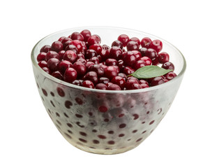 Cherry in the bowl
