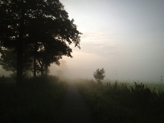 Naklejka premium der Nebel am Morgen