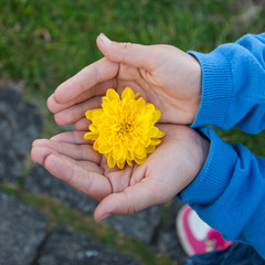 Kind mit Blüte in der - Geschenk