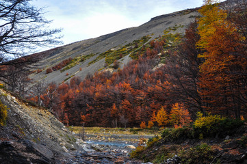 Autumn / Fall in Parque Nacional Torres del Paine, Chile