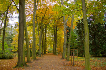 Herbst im Park