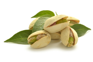 Pistacia vera Pistachio Pistacchio Pistacja właściwa Pistazie