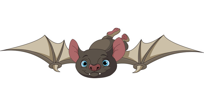 Halloween bat in flight