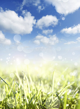 Spring green grass and blue sky background