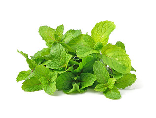 mint isolated on white background