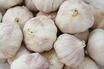 Fresh garlic