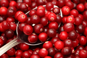 Cranberry on spoon