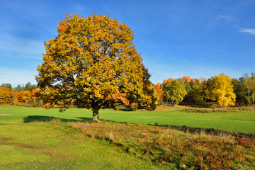 Fototapeta Krajobraz wiejski, jesień obraz
