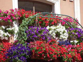 Fototapeta na wymiar flowered balconies typical houses
