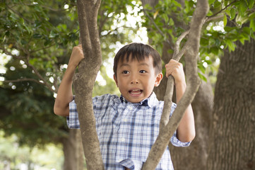 Boy sits on a branch of a tree