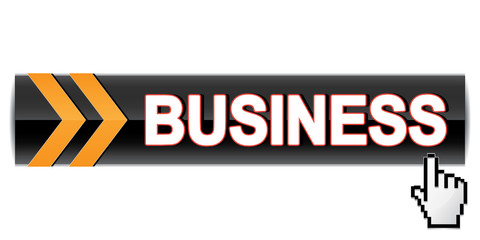 BUSINESS ICON