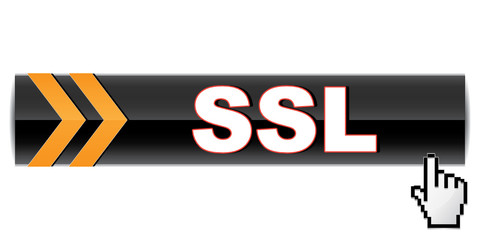 SSL ICON