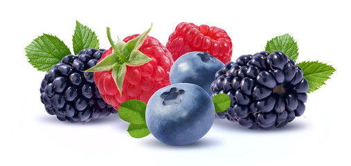 Forest berries composition isolated on white background © yggdrasil