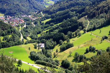 Black forest, Germany