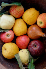 MELE GIALLE E ROSSE AUTUNNALI