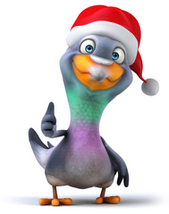 Fun pigeon