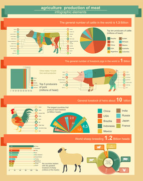 Agriculture, animal husbandry infographics, Vector illustrations