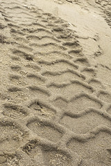 Tire ruts imprinted in the sand