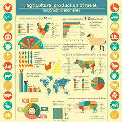 Naklejka premium Agriculture, animal husbandry infographics