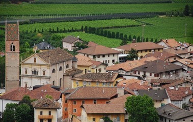 Scorcio di Salorno dall'alto
