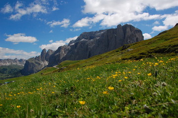 Veduta delle Dolomiti del Sella dal Passo Sella