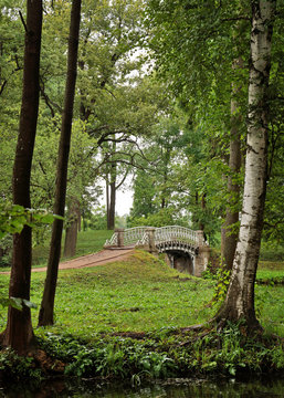 View of an old bridge  between trees in the park