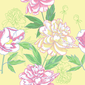 Seamless pattern  with color peonies