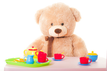 teddy mit puppengeschirr