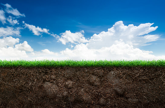 Fototapeta Soil and grass in blue sky