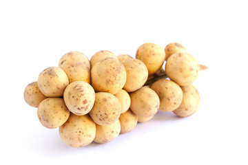 Wollongong on white background.