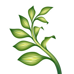 illustration of green jungle leaf foliage isolated on white