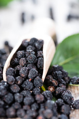 Portion of Chokeberries