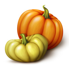 autumn pumpkins, vegetables illustration
