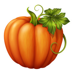 Fototapeta premium orange pumpkin with green leaf, illustration