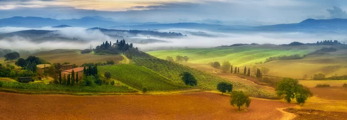 Wall murals Toscane morning fog in Tuscany