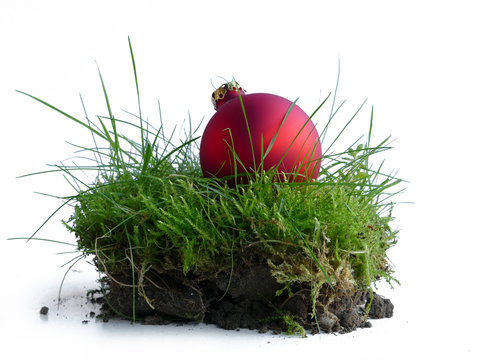 rote Weihnachtskugel im Gras, ein St&uuml;ck natur zu Weihnachten
