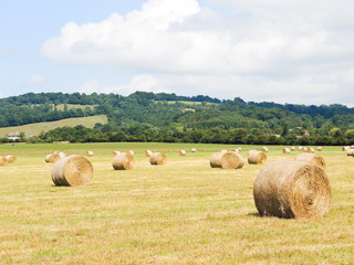 haystack rolls on harvested field in Normandy