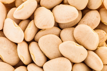Fototapeta na wymiar Macro Texture of White Beans