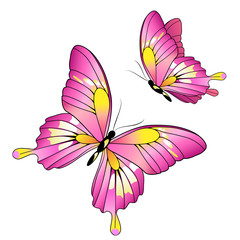 butterflies design