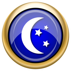 Moon icon