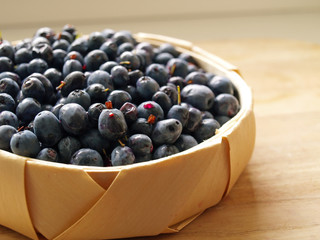 Blueberries