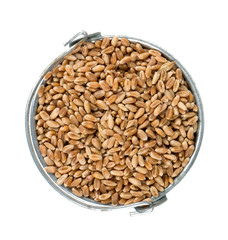 pearl barley in a bucket