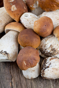 boletus mushrooms on wooden surface
