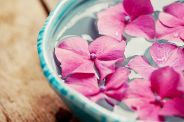 Hydrangea in bowl of water, spa concept