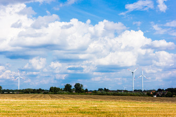 Wind turbines.  meadow with wind turbines