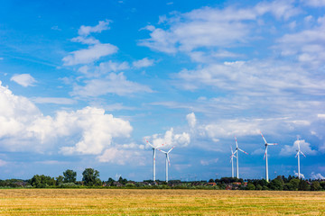 Wind turbines.  meadow with wind turbines