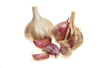 Garlic