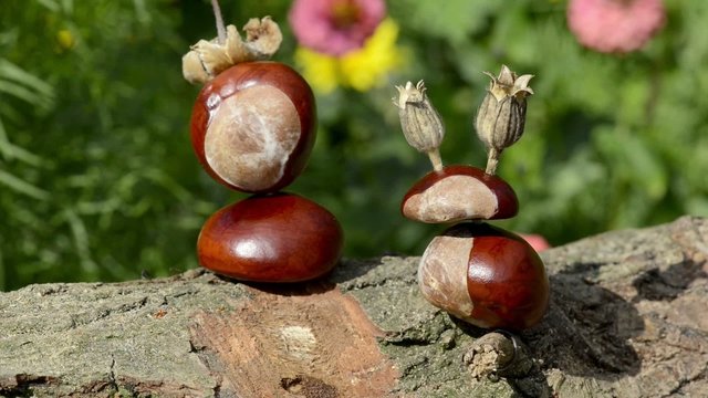 Kastanienfiguren
