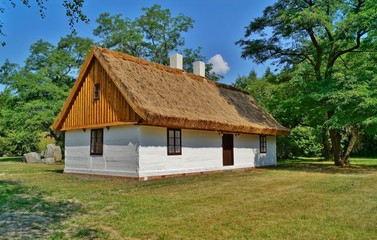 Plakat Old wooden house with straw roof