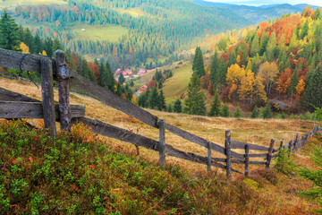 Foggy summer morning in the mountains